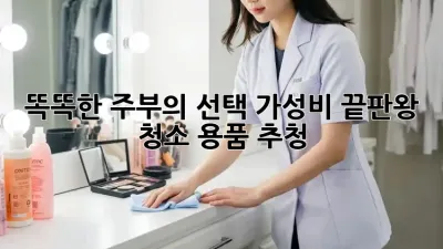 똑똑한 주부의 선택! 가성비 끝판왕 청소 용품 추청