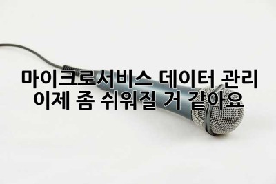 마이크로서비스? 데이터 관리, 이제 좀 쉬워질 거 같아요!