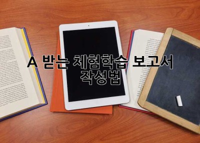 A+ 받는 체험학습 보고서 작성법! 💯