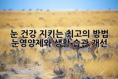눈 건강 지키는 최고의 방법: 눈영양제와 생활 습관 개선
