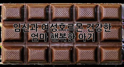 임신과 여성호르몬: 건강한 엄마, 행복한 아기