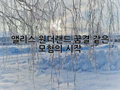 앨리스 원더랜드: 꿈결 같은 모험의 시작
