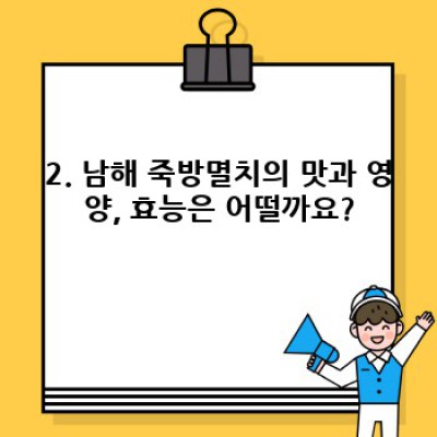 남해 죽방멸치 완벽 가이드: 맛, 효능, 구매 가이드까지!