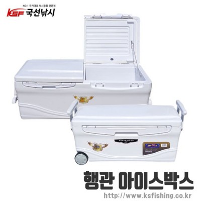 행관 아이스박스 40L: 캠핑 필수템, 솔직 후기와 꿀팁 대방출!