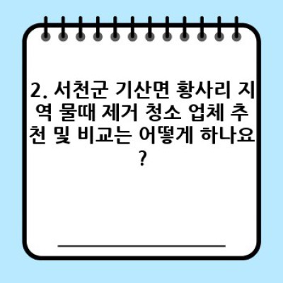 충청남도 서천군 기산면 황사리 물때 제거 청소 완벽 가이드: 효과적인 청소 방법과 업체 선택 가이드