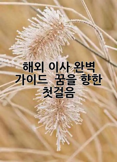 해외 이사 완벽 가이드 ✈️ 꿈을 향한 첫걸음!