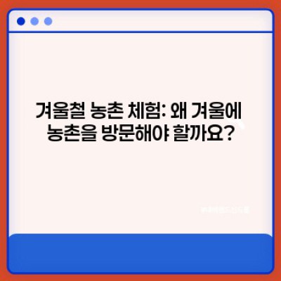 겨울왕국 농촌 체험: 아이와 함께 떠나는 겨울방학 추억 만들기 - 핵심 정보 & 체험 프로그램 가이드