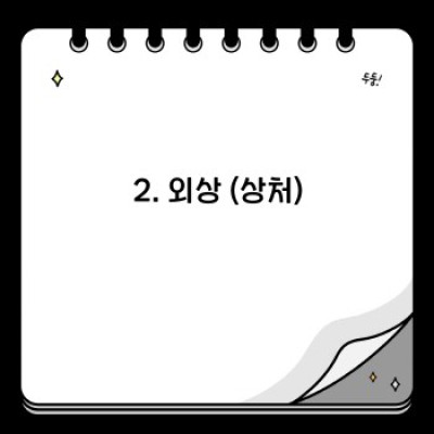 강아지 응급처치 핵심 포인트 요약: 생명을 구하는 골든타임 확보 가이드