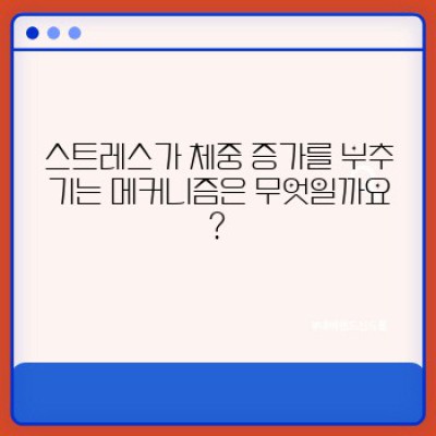 스트레스 받을 땐 살찌고, 살찌면 스트레스 받고? 다이어트와 스트레스 관리, 완벽 해결책!
