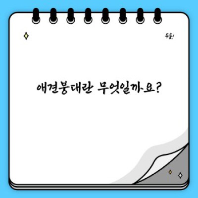 애견붕대 핵심 포인트 요약: 종류, 사용법, 주의사항 완벽 가이드