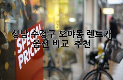 성남 수정구 오야동 렌트카: 옵션 비교 & 추천