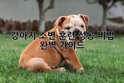 🐶 강아지 소변 훈련 성공 비법 완벽 가이드 🐾