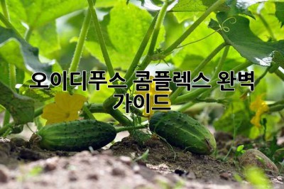 오이디푸스 콤플렉스: 완벽 가이드