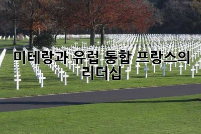 미테랑과 유럽 통합: 프랑스의 리더십