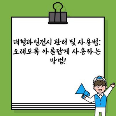 대형과일접시: 홈파티, 손님맞이, 과일 선물의 완벽한 마무리! 가성비 최고의 선택은?